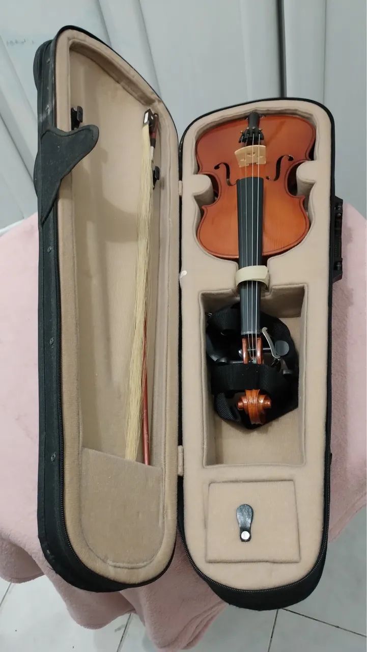 Violino 4x4 - Foto 5