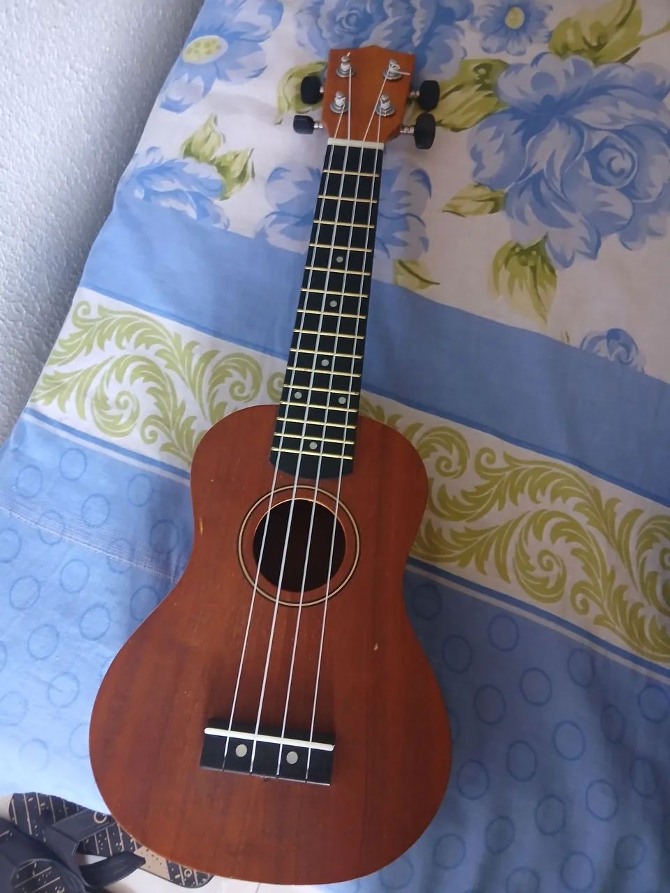 Ukulele 