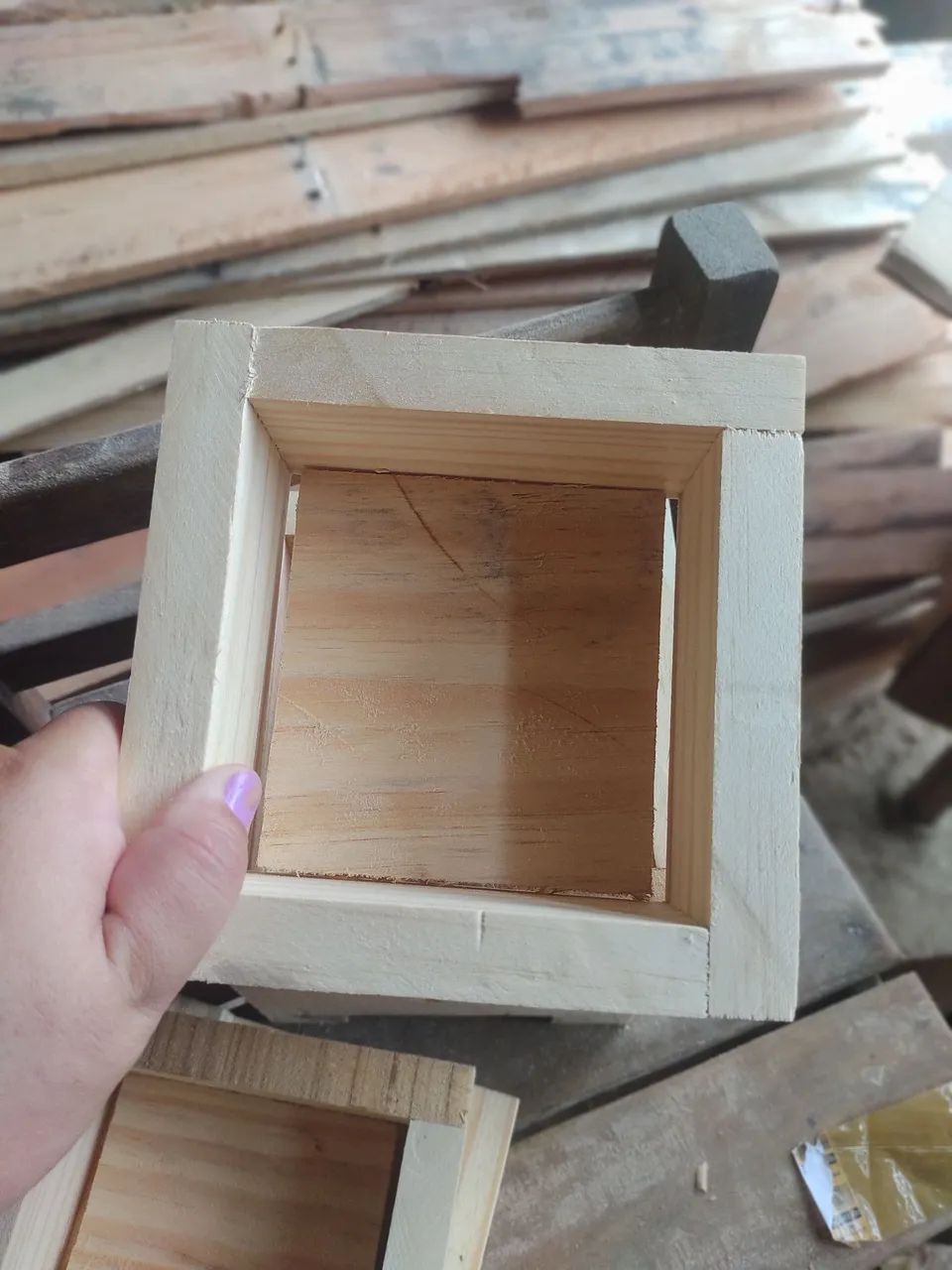Caixas para jataí  asf - Foto 4