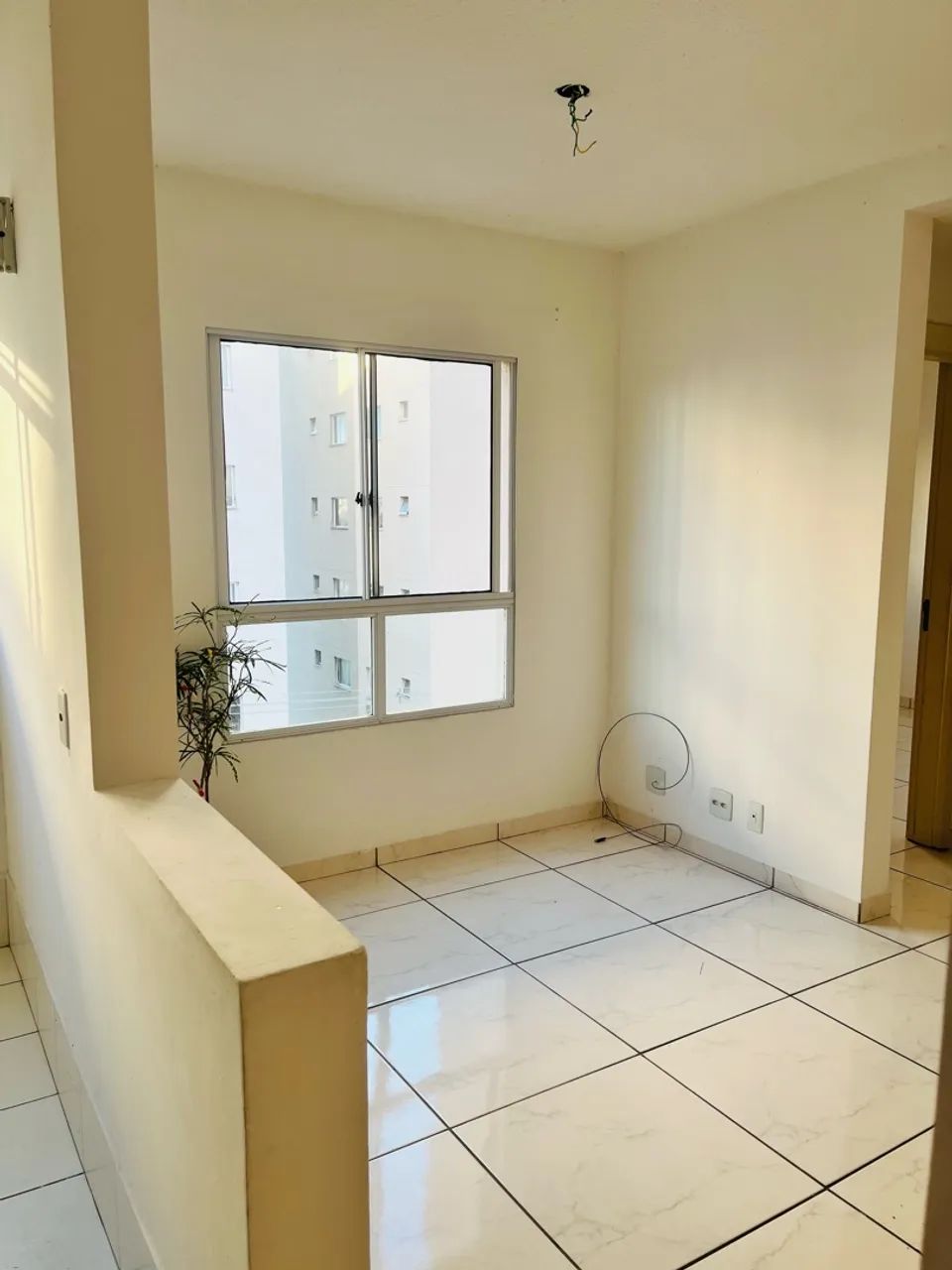 Apartamento vista da reserva - Foto 5