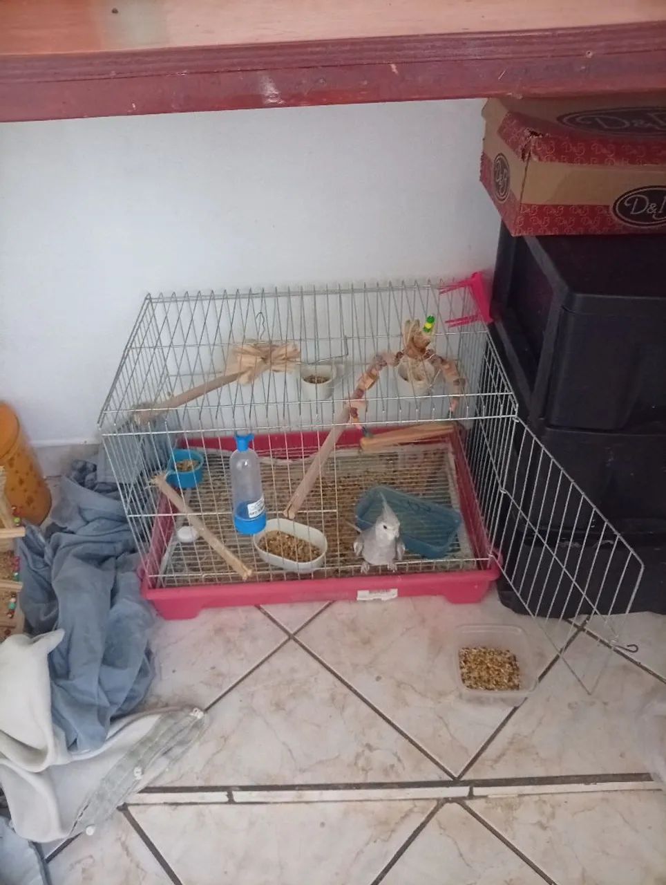 Gaiola - Foto 2