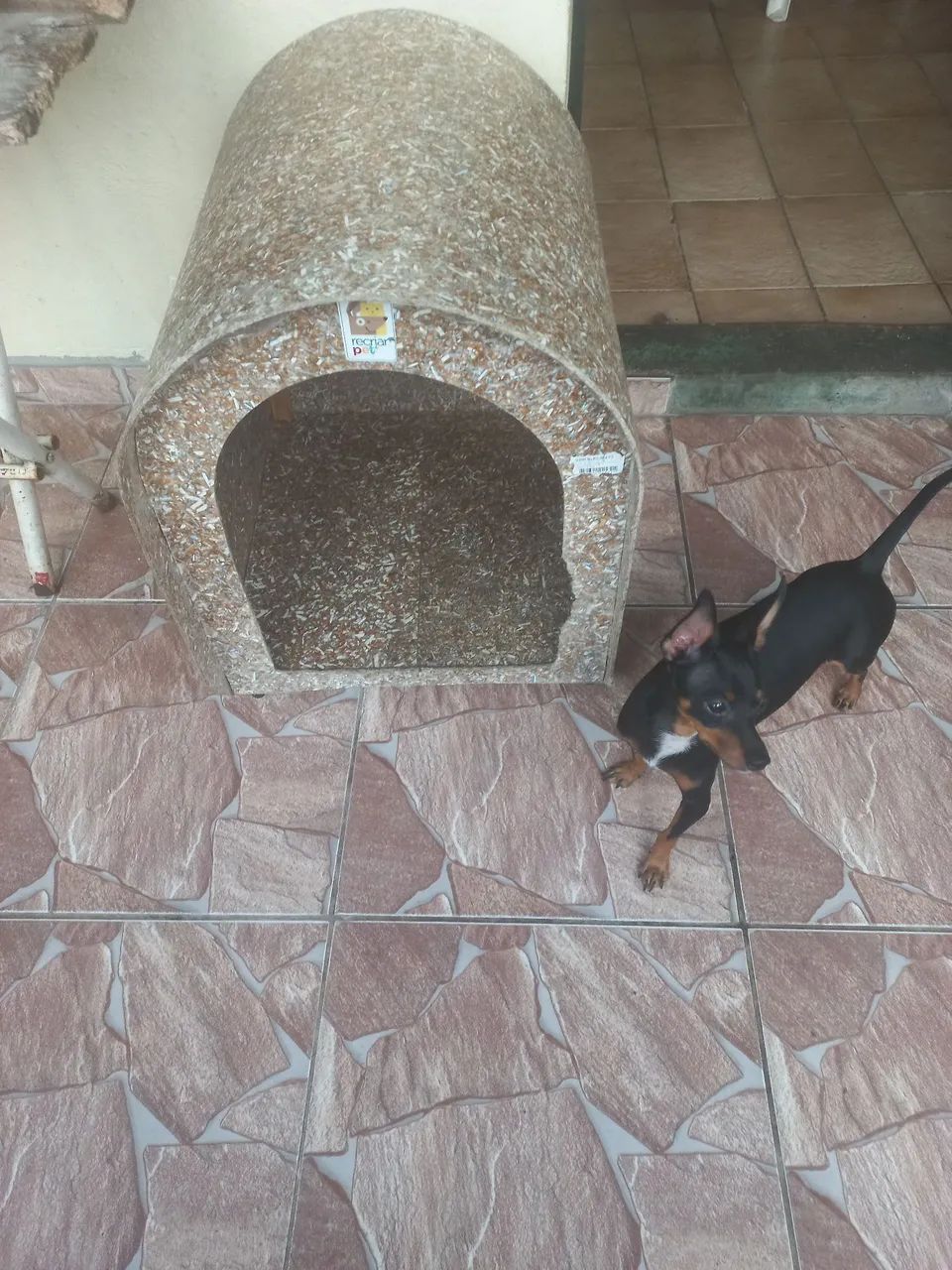 Casinha para cachorro