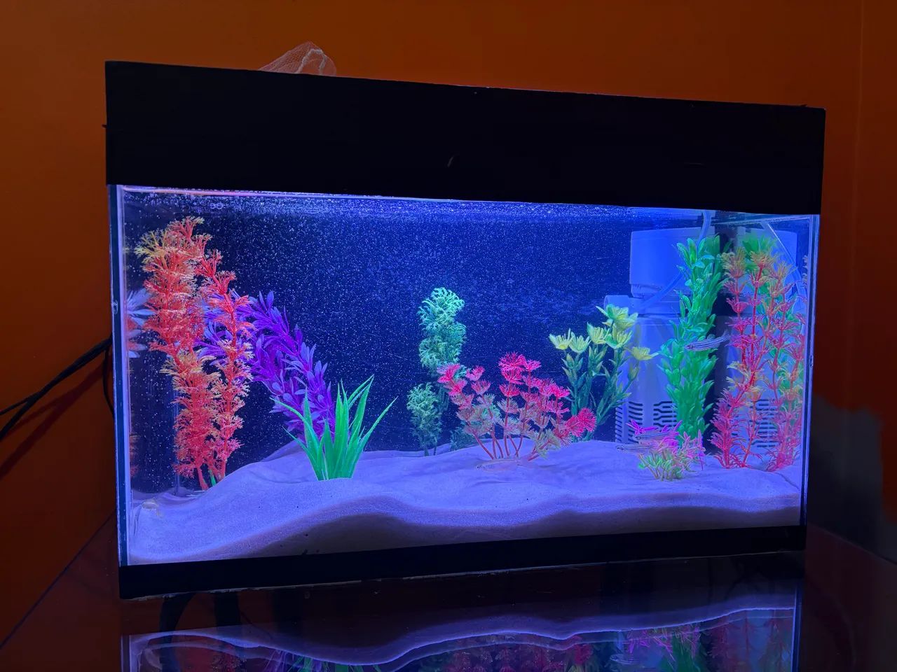 Aquário 30L