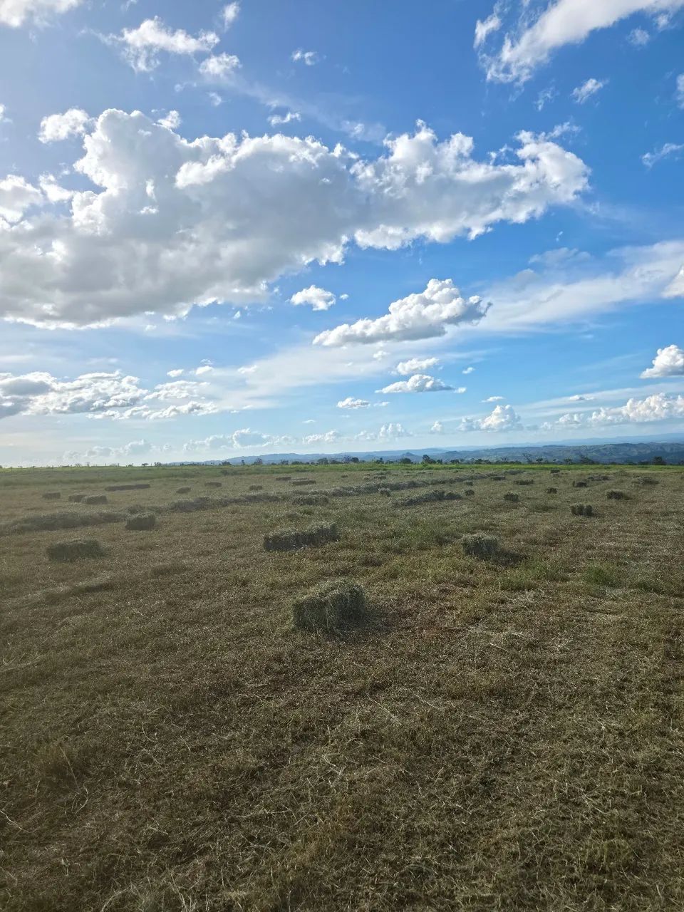 Fardo de feno - tiftom 85 - Foto 4