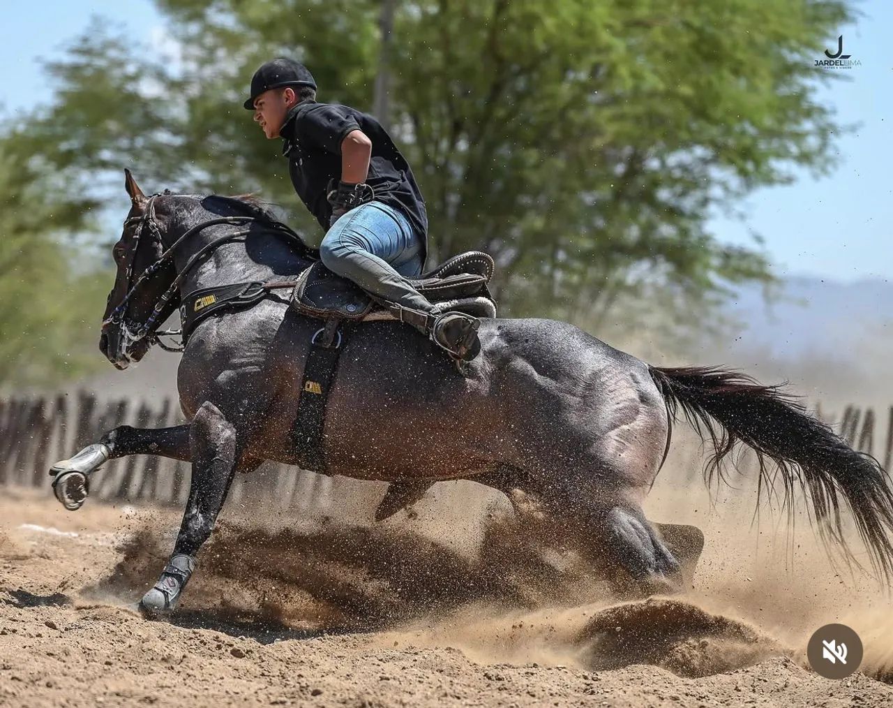 Potra Quarto de Milha Pura - Foto 4