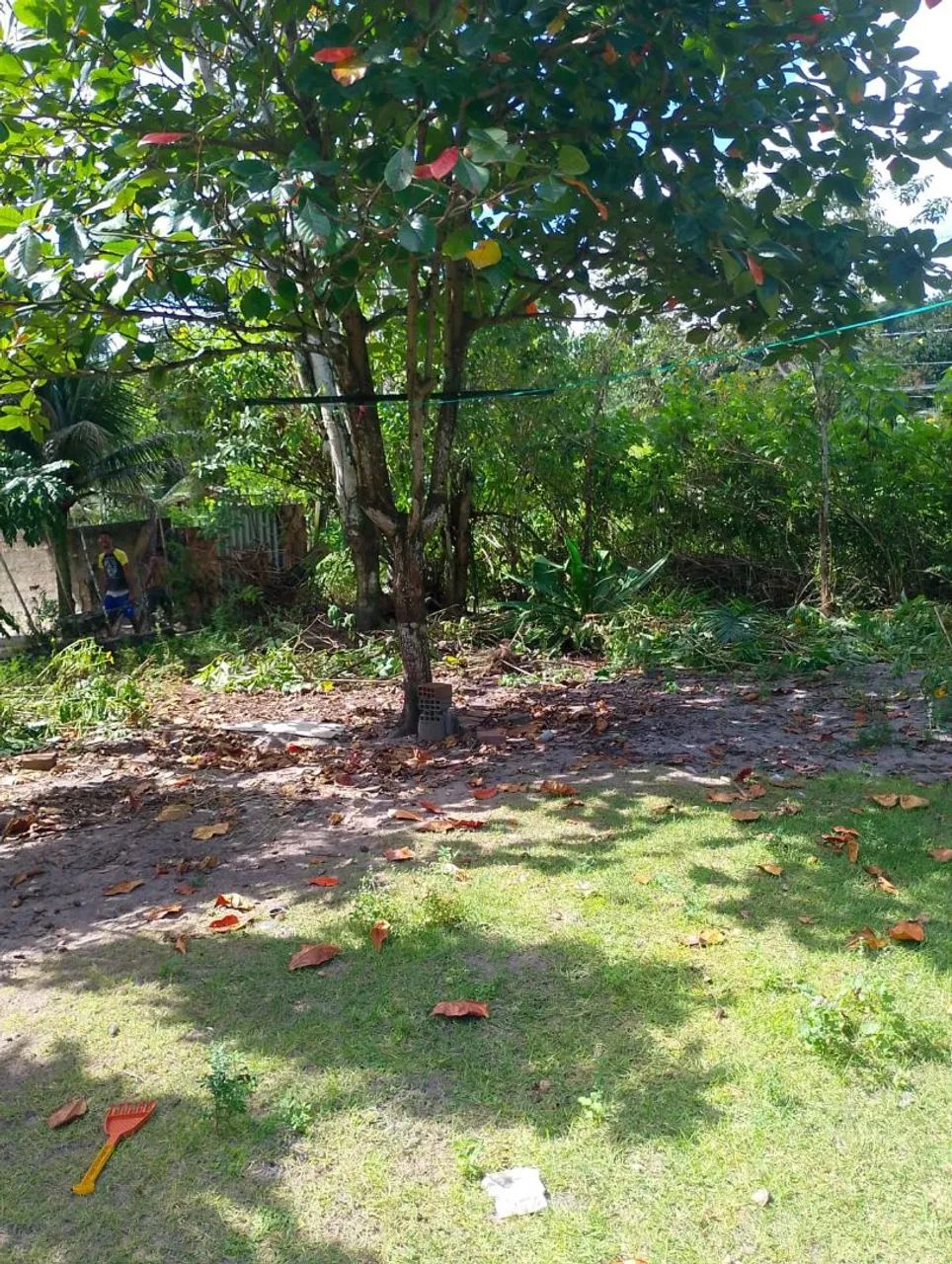 Terreno em um sítio para venda  - Foto 2