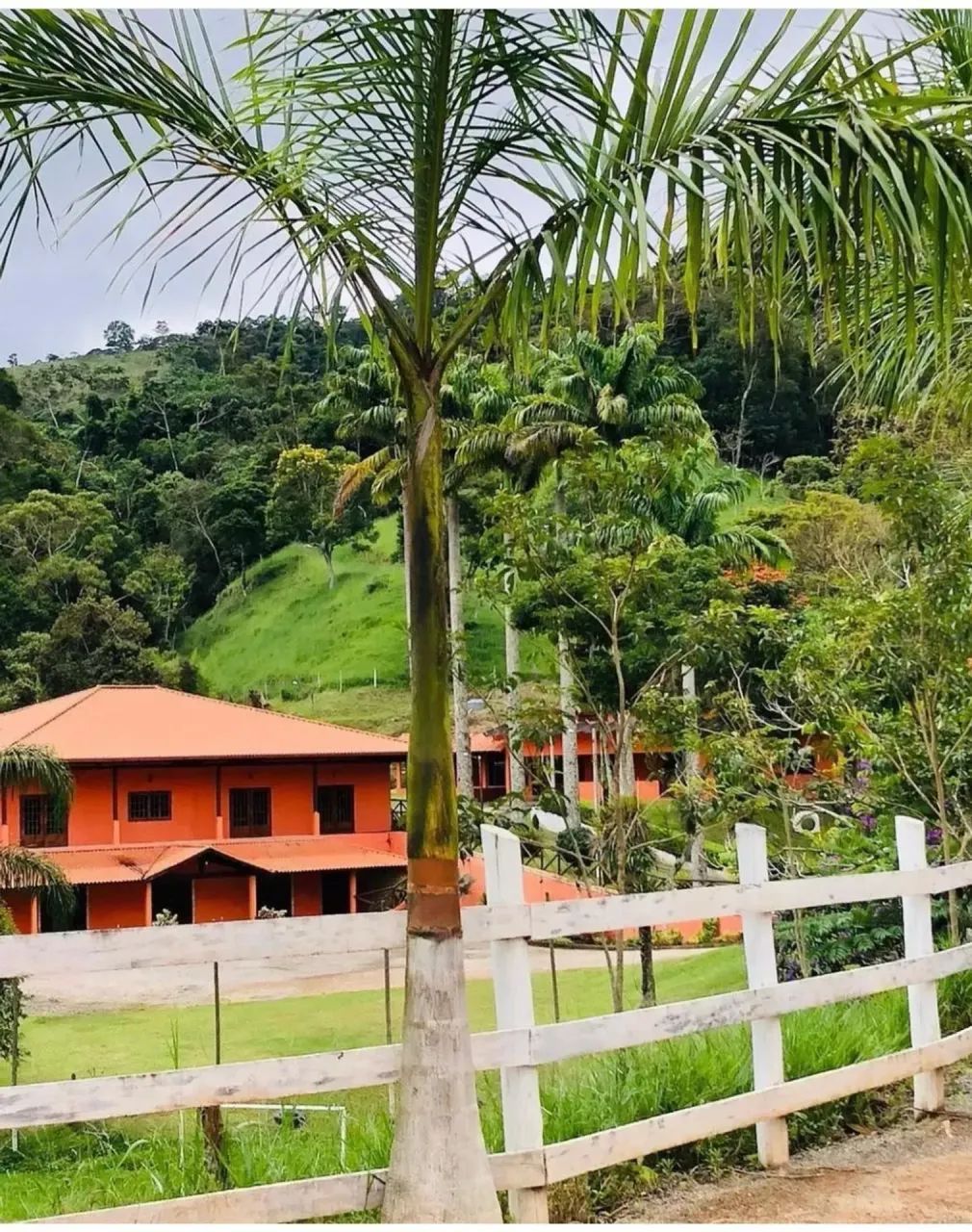 Sítio em Teresópolis - Foto 5