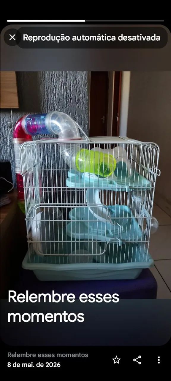 Casinha pra ramester tpo