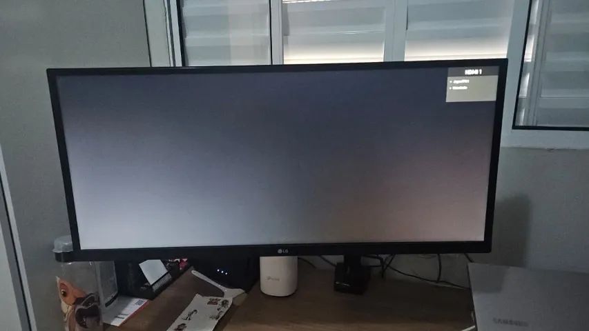 Monitor LG UltraWide 29" IPS 75Hz - Usado (Excelente Estado)
