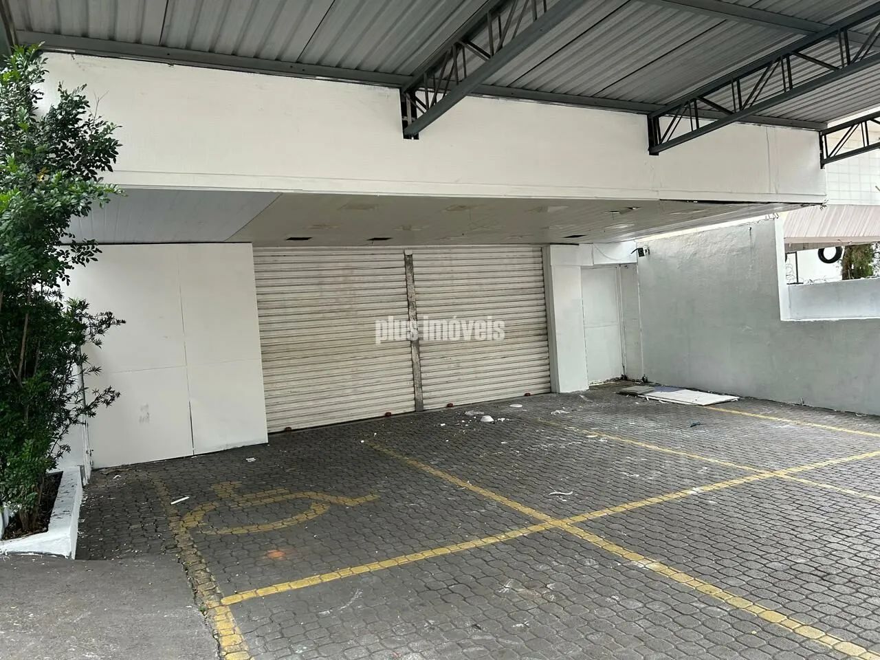Loja Morumbi - Foto 3