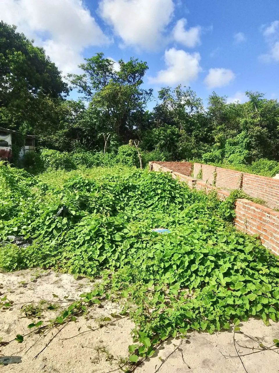 Foto - Fortaleza - Salinas