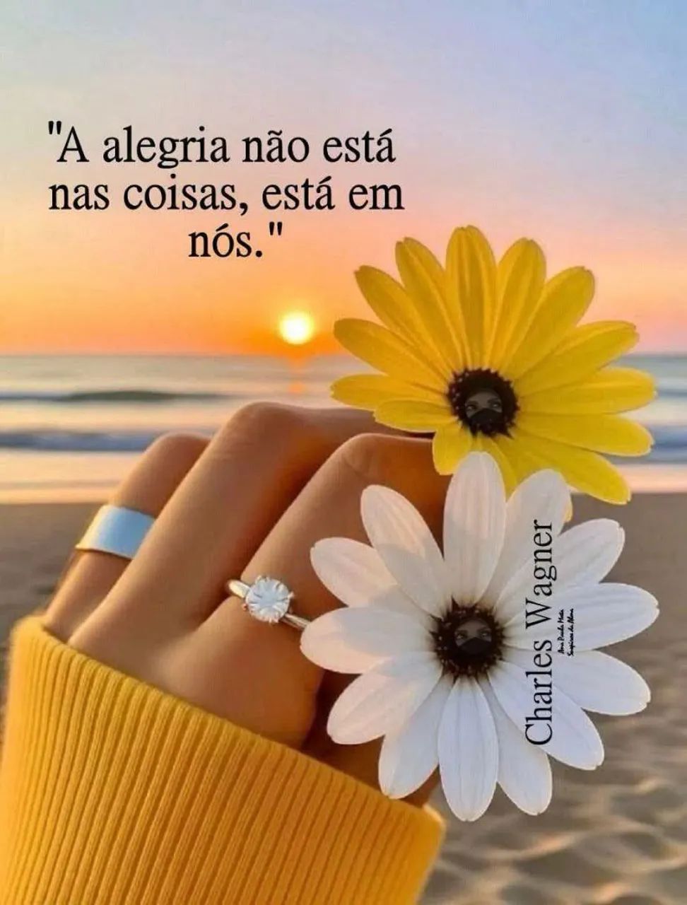 baba diaria 80 reais *