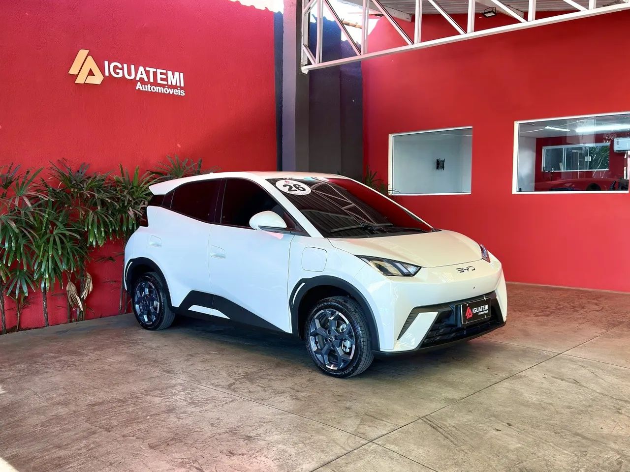 BYD Dolphin Mini (Elétrico) 2026 - Foto 5