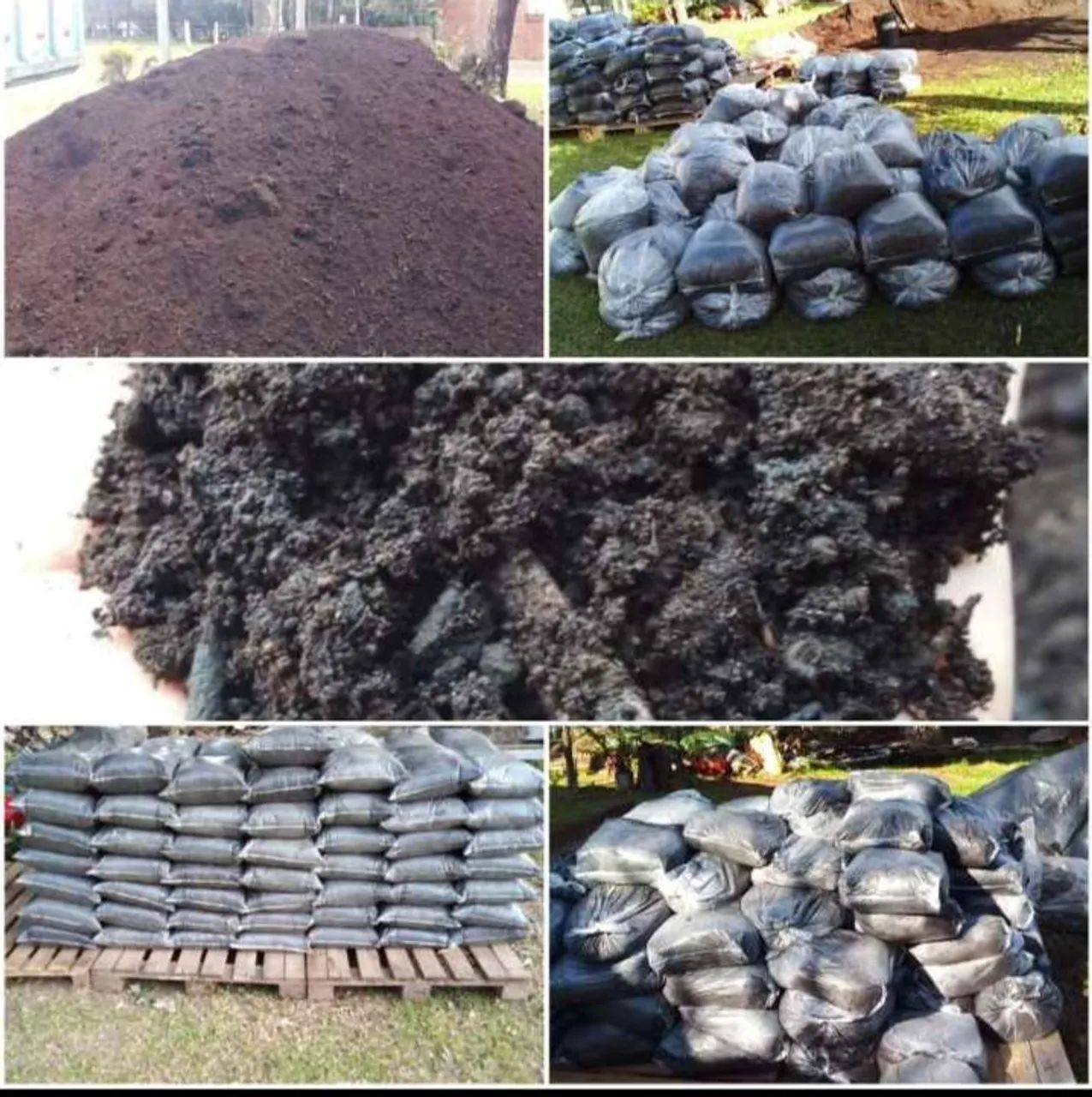 Vendo terra preta sacos de 20k só R$6.00Reais o saco terra boa sem cheiro de Barro 