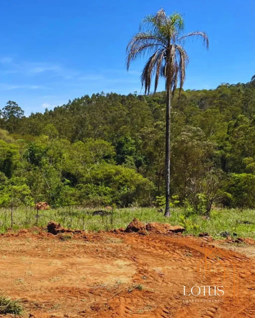 Uma área para quem procura terreno para morar - Foto 4
