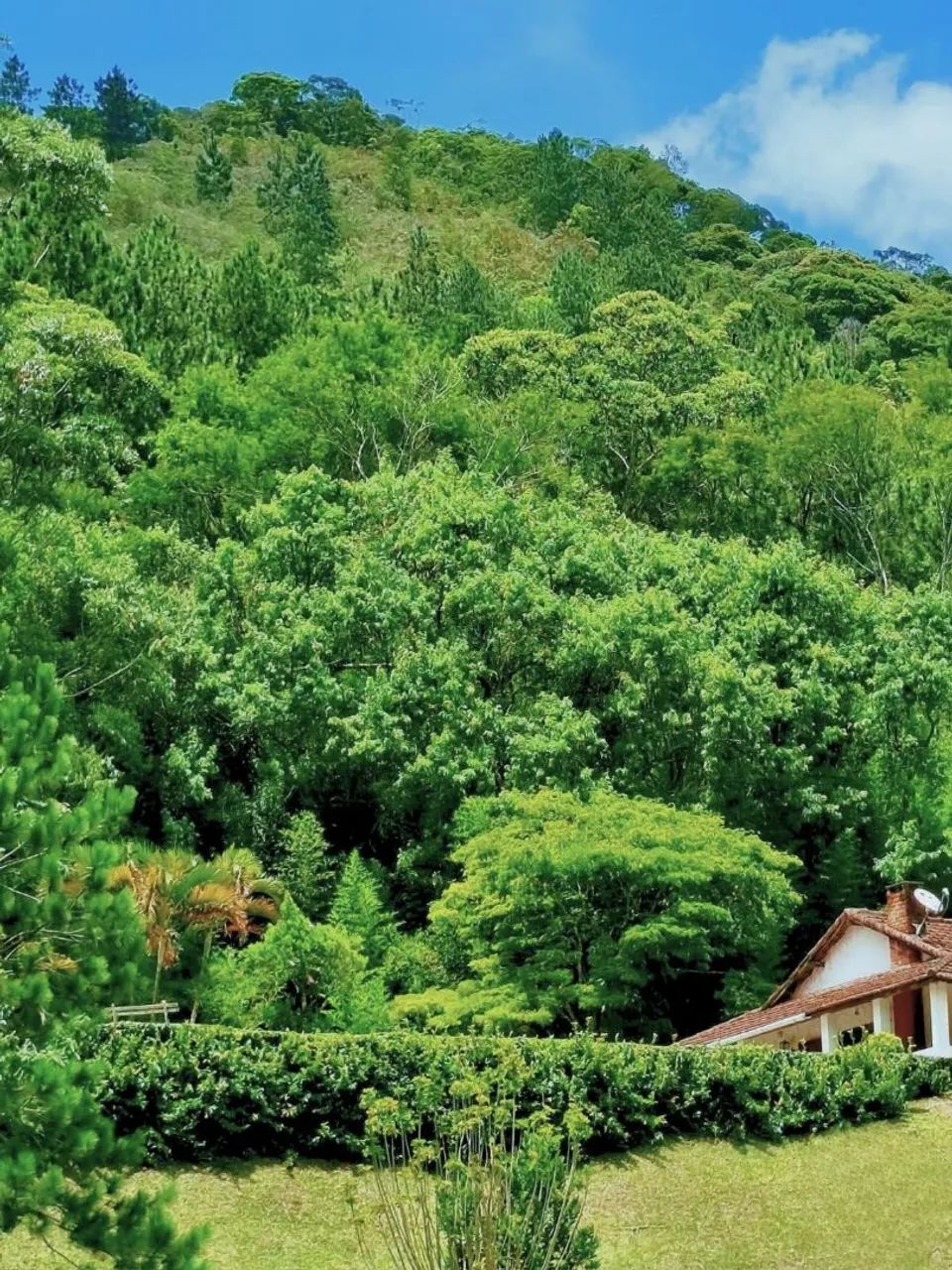 Sitio com localização privilegiada!! - Foto 2