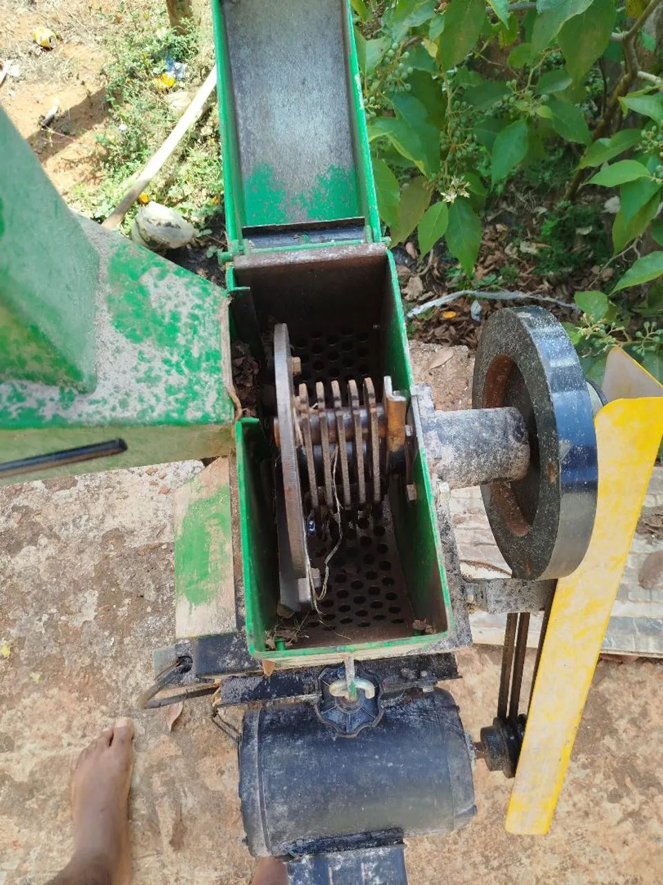 Forageira  - Foto 2