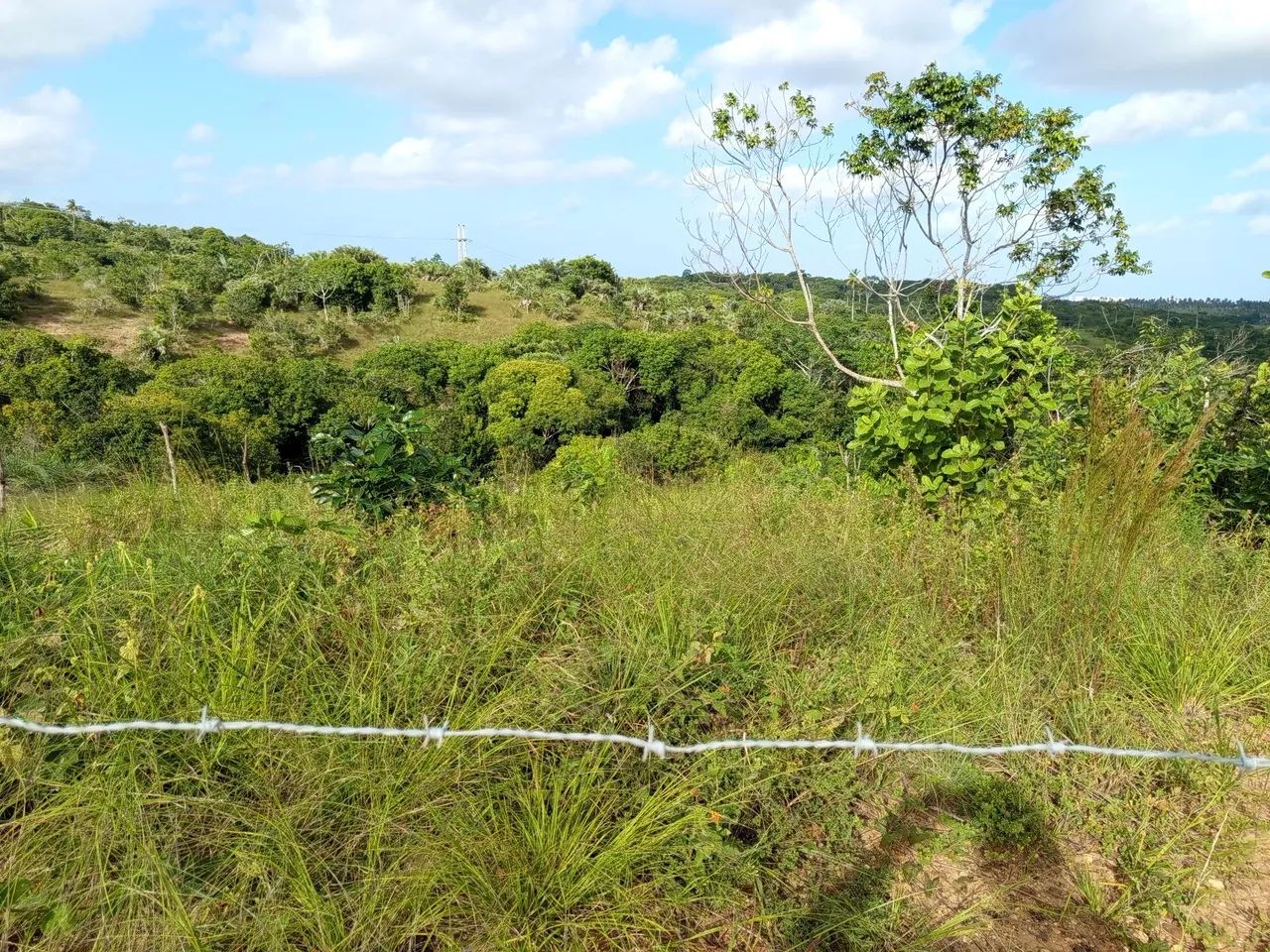 Vendo 2 terrenos 10x30 e outro 11x30 - Foto 3