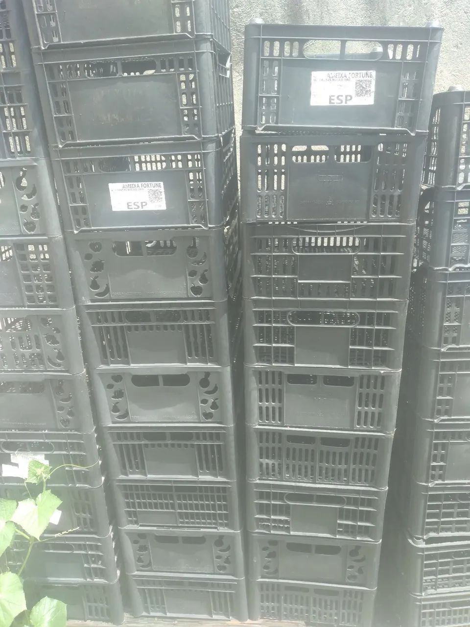 Caixas plasticas