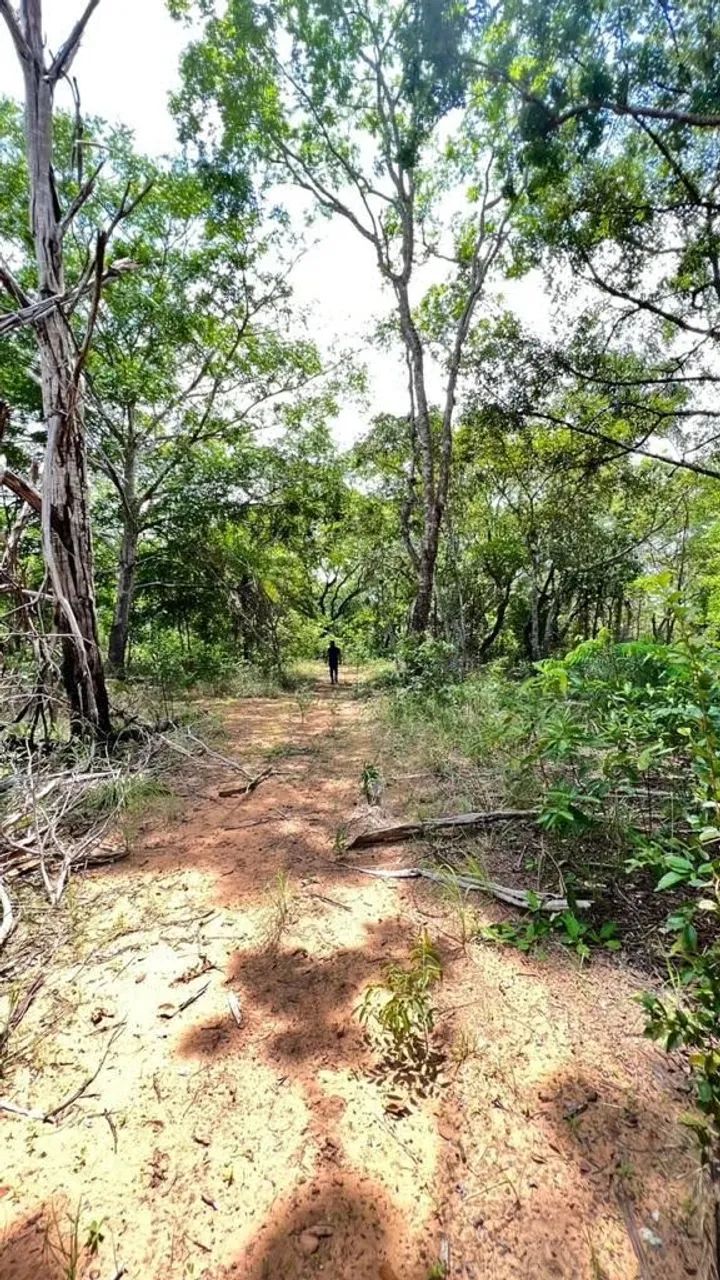 Fazenda em Plano Diretor Sul - Palmas - Foto 3