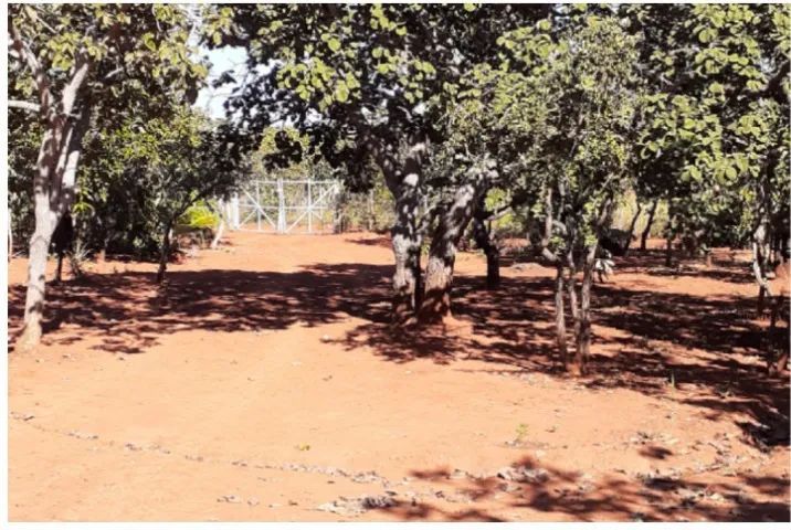 Oportunidade sitio 5000m2 - Foto 2