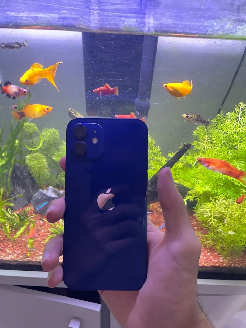 iphone 12 azul 128gb - Foto 4