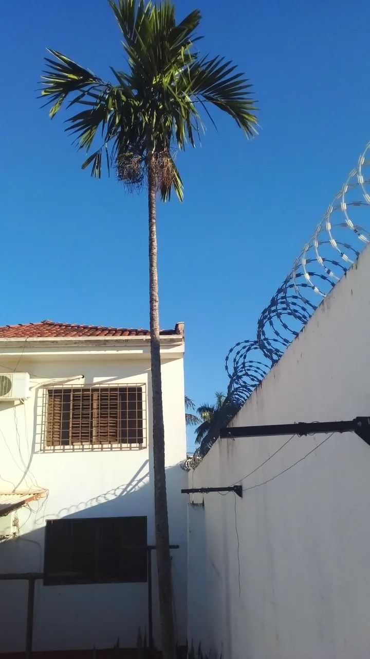 CASA GRANDE  - Foto 4