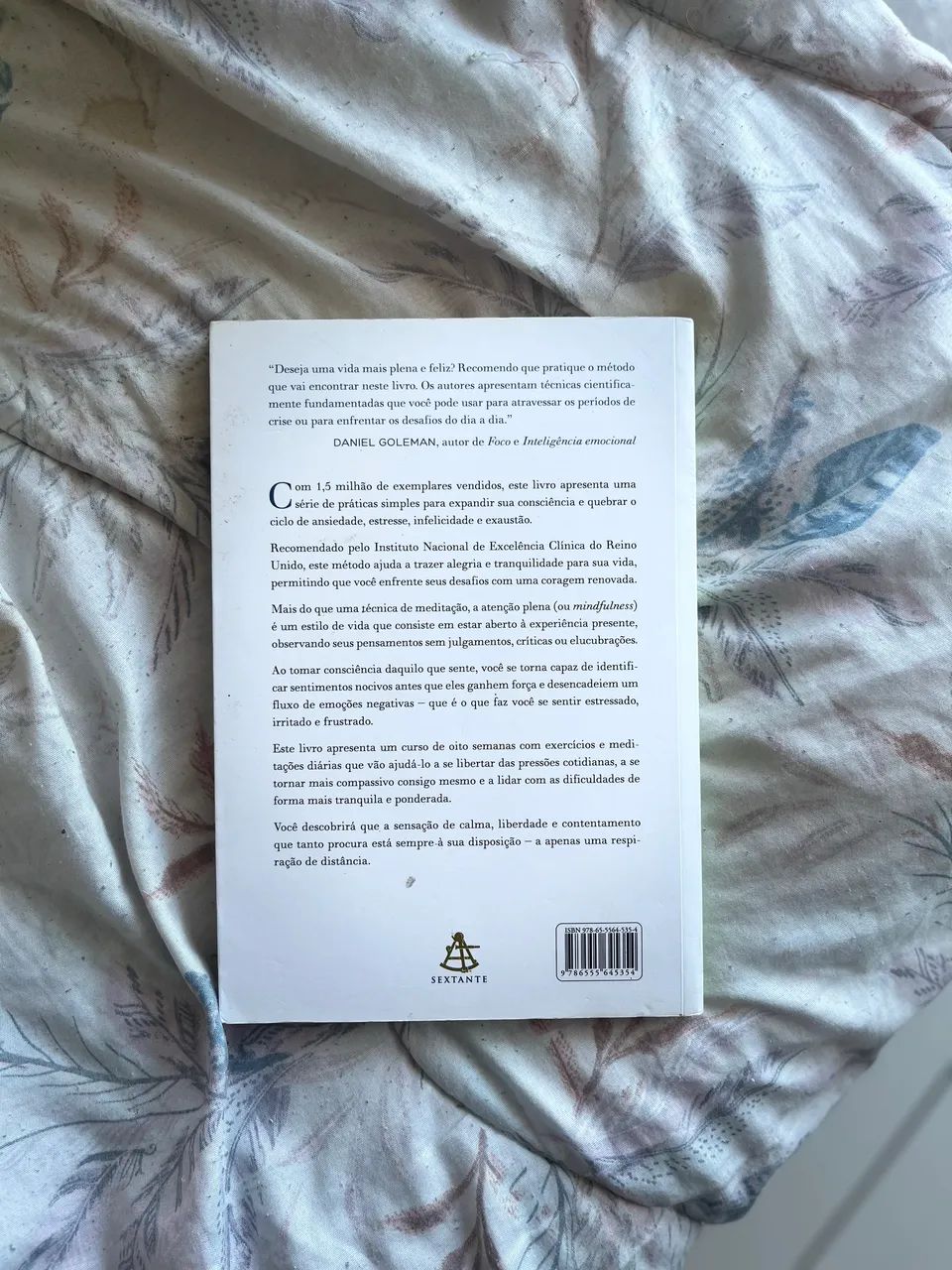 ATENÇÃO PLENA MINDFULNESS - Foto 2