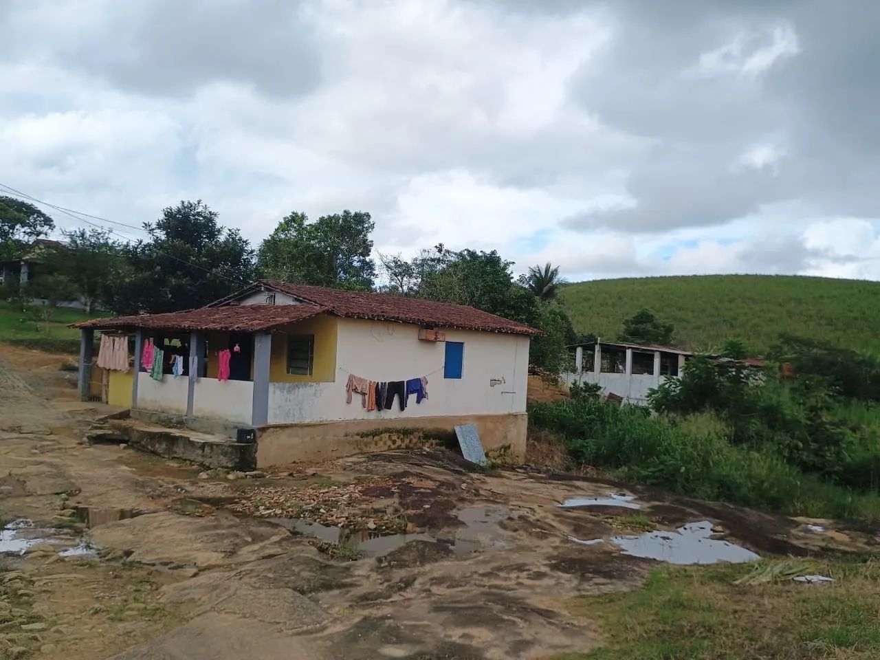Linda Fazenda Amaraji/Primavera - Foto 4