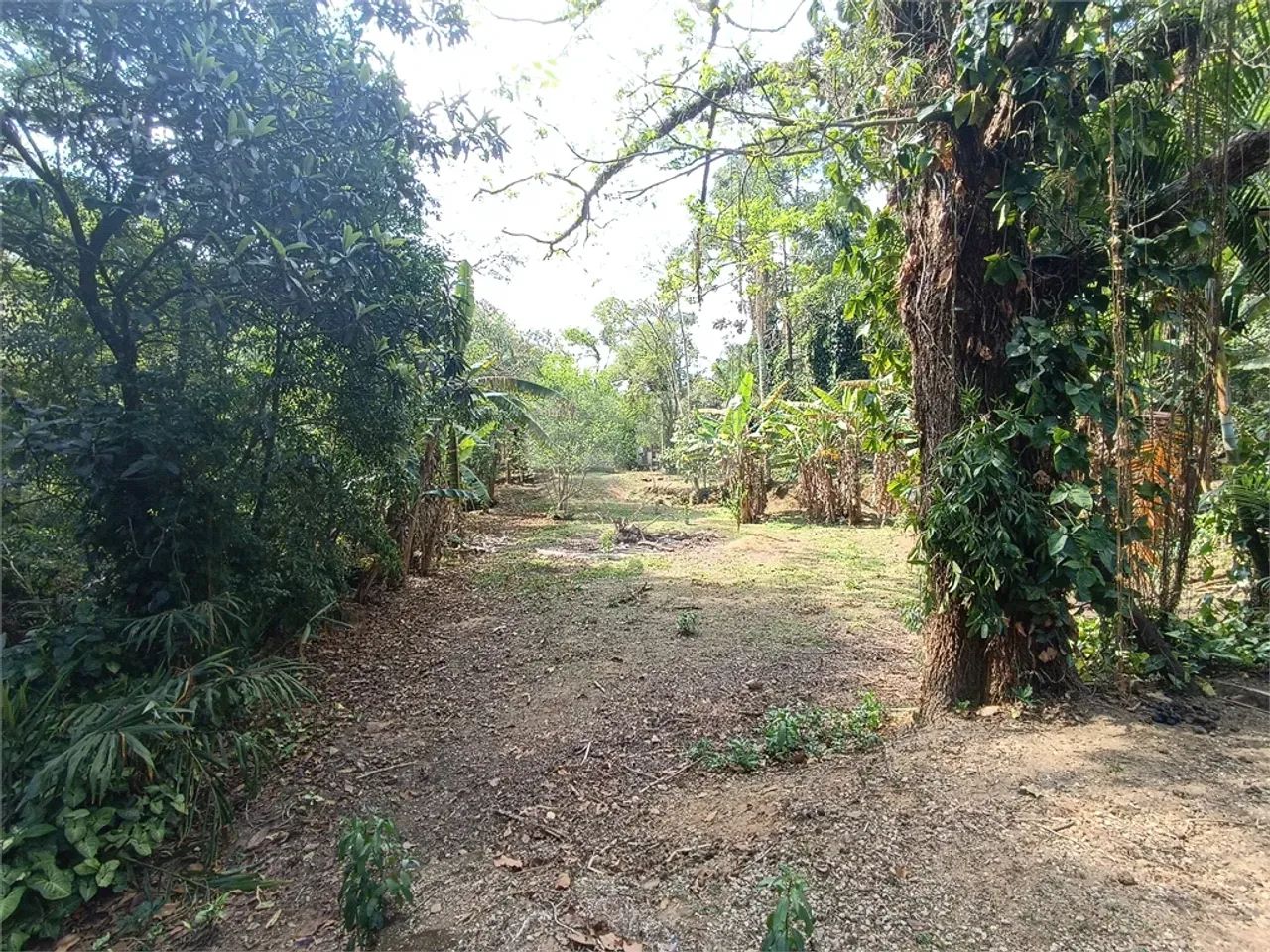 Chacara com 2 casas a venda - Foto 3