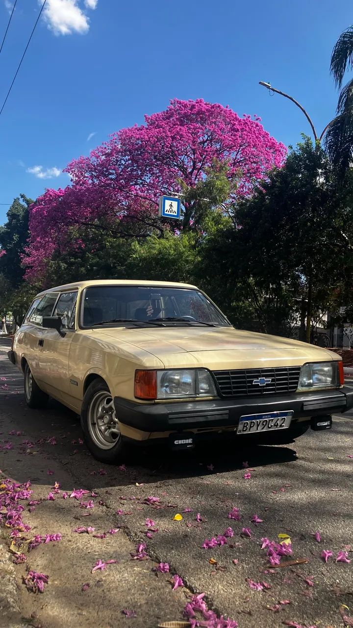 Chevrolet Caravan L/sl/s/ss 2.5/4.1/4.2 1988