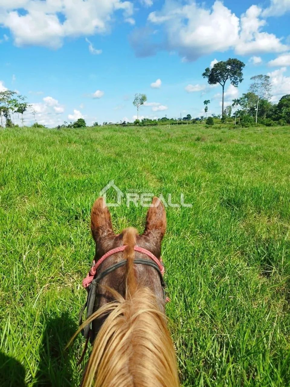 Segundo Distrito, Fazenda com 840000m² - Foto 3