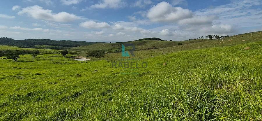 TERRENO RURAL DE TOPOGRAFIA BAIXA EM LORENA-SP - Foto 5