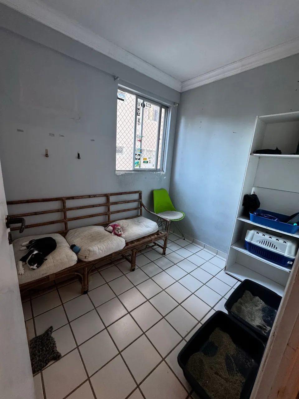Apartamento três quartos em Tejipio  - Foto 5