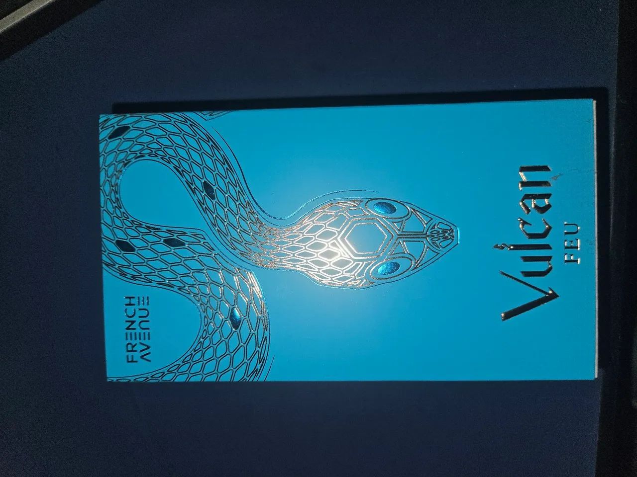 french avenue vulcan feu  - Foto 5