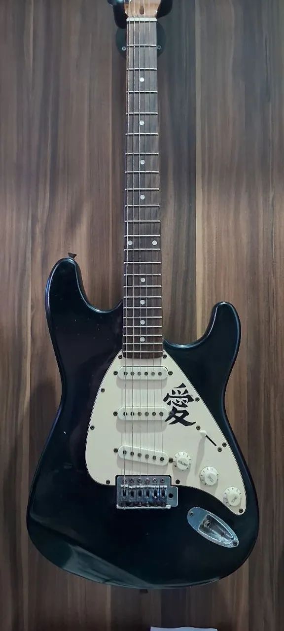 Guitarra Dolphin Stratocaster