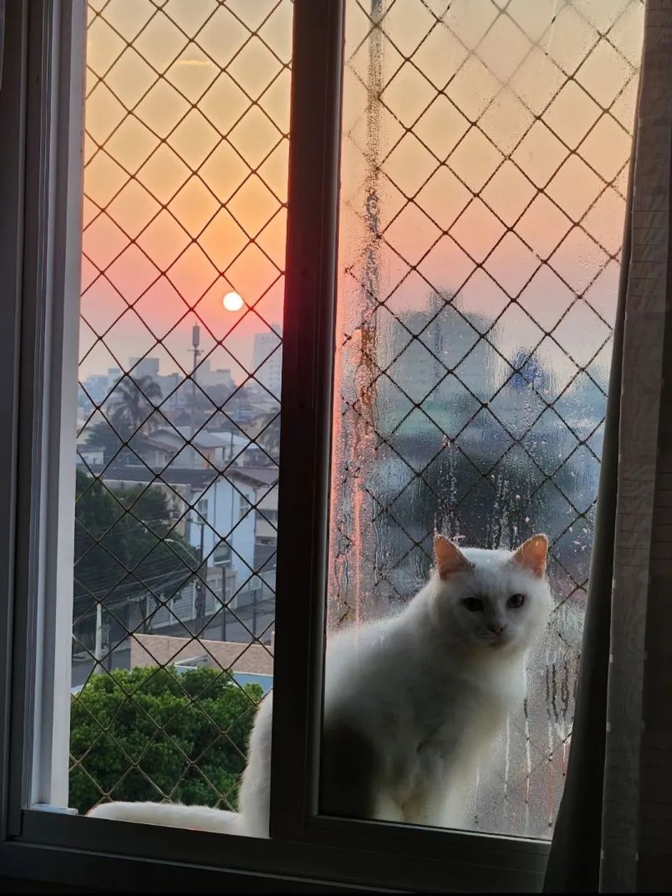 Foto - Navegantes - Centro