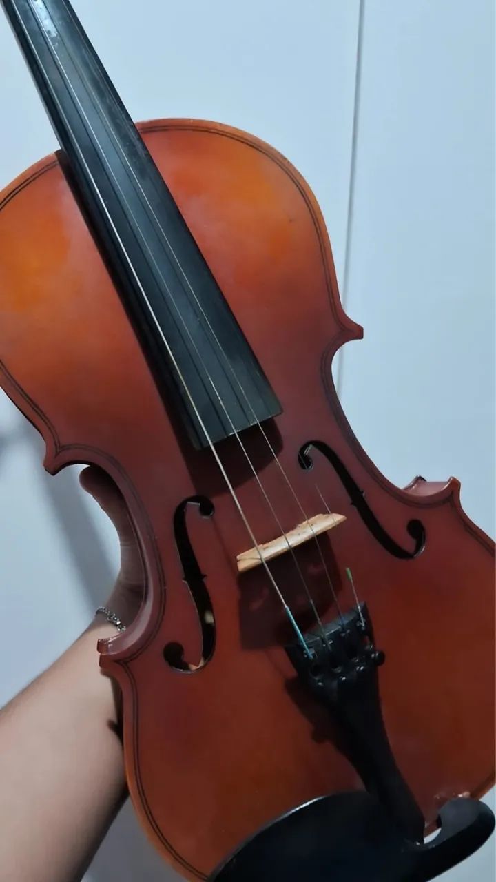 Violino Acústico com case