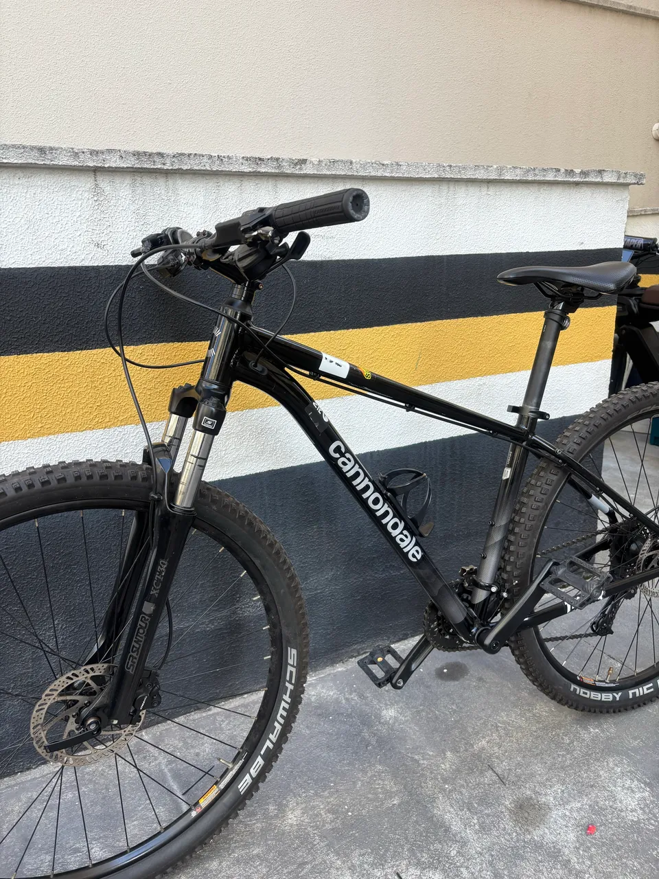 cannondale trail 7