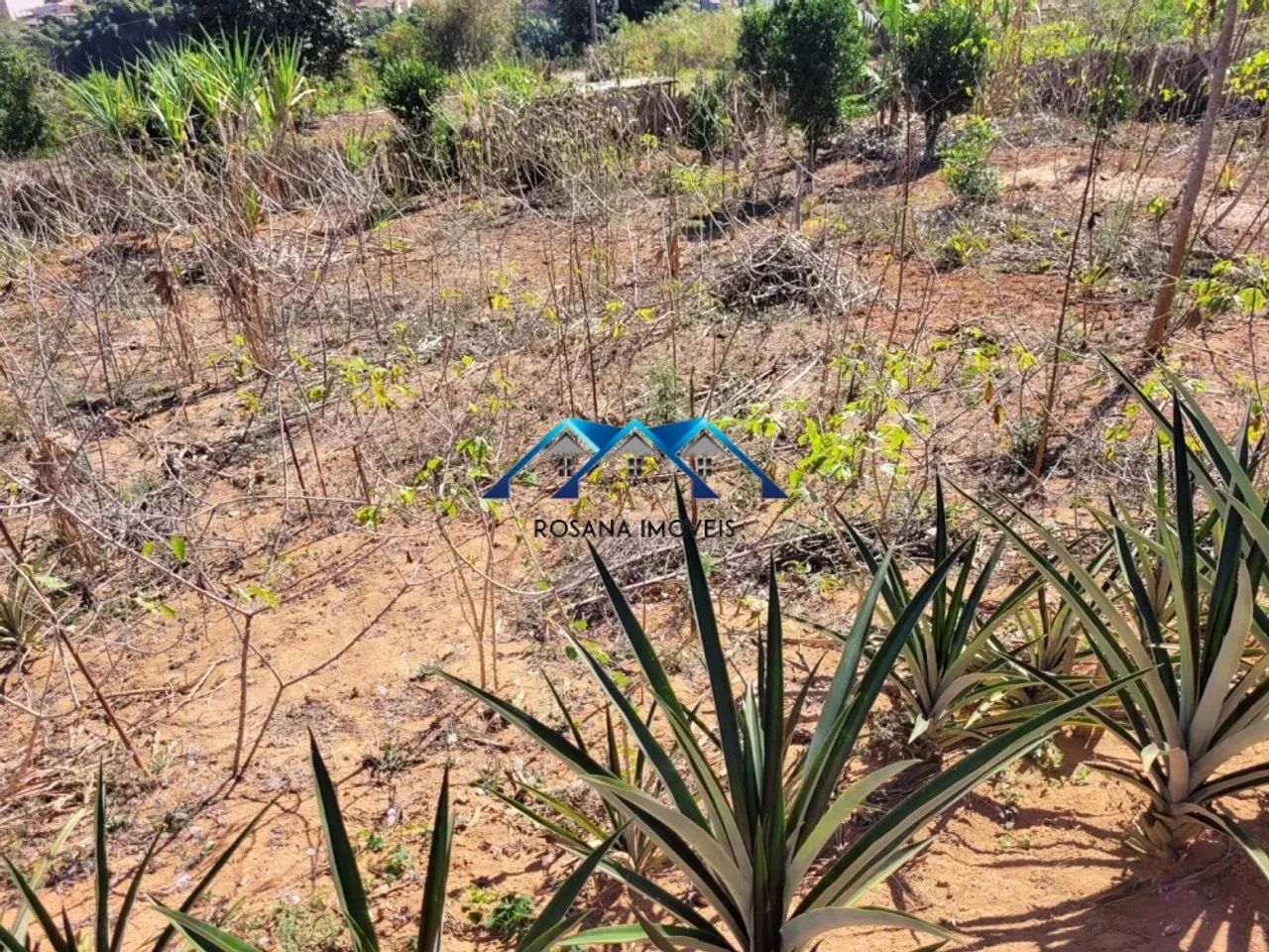 Lote para comprar Centro Piranga - Foto 3