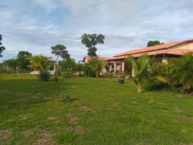 110 Alq. Cocalinho-MT. {Fazenda Diferenciada} R$ 3,5 Milhões - Foto 4