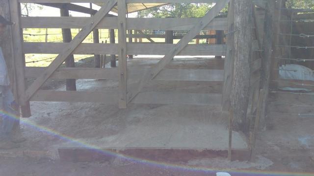 Chácara em Terenos Otímo preço e estrutura (Parcelo) Favor ler o anuncio - Foto 5