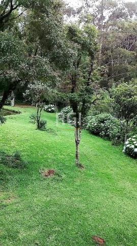 Sítio à venda em Zona rural, São francisco de paula cod:LI50877651 - Foto 13