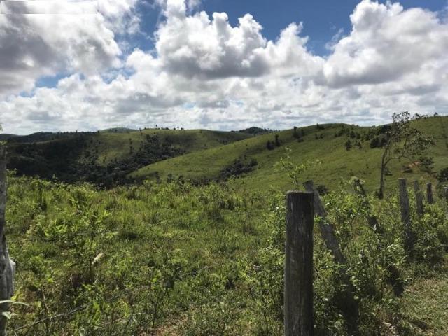 Vende-se Fazenda 425,98 ha no Extremo Sul da Bahia - Itanhém - Foto 3