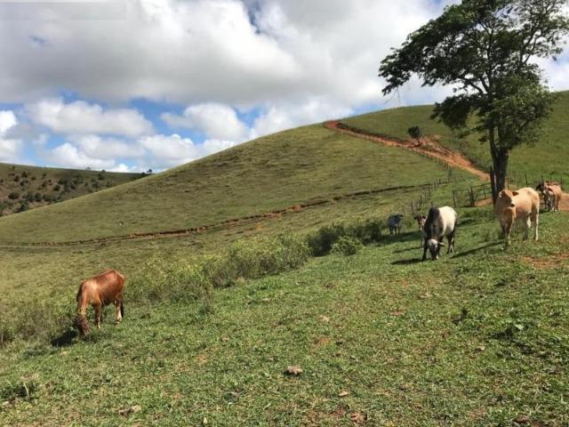 Vende-se Fazenda 425,98 ha no Extremo Sul da Bahia - Itanhém - Foto 10