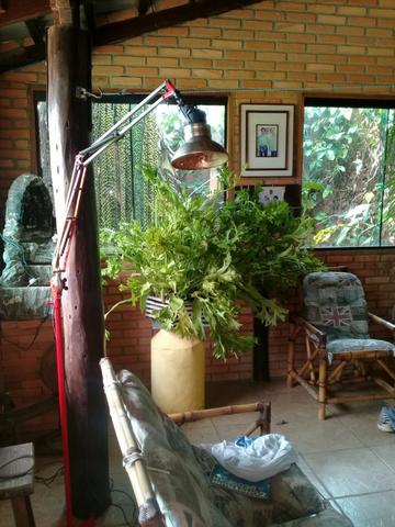 Terreno 400 metros com LoFT Arniqueira - Foto 5