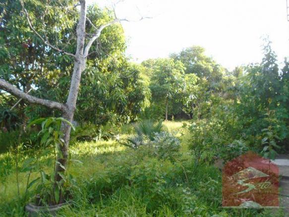 Terreno para venda, próximo à cidade alpha - Foto 15