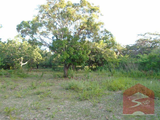 Terreno para venda, próximo à cidade alpha - Foto 7