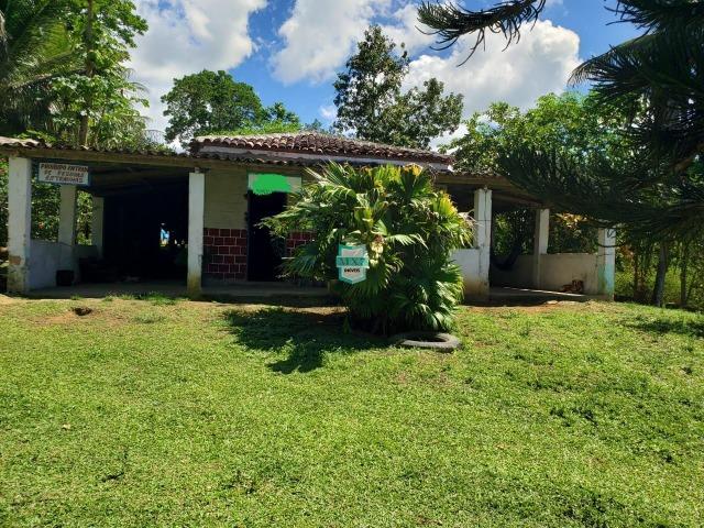 Ibirapitanga. Fazenda pequena com área de 12 ha - Foto 2