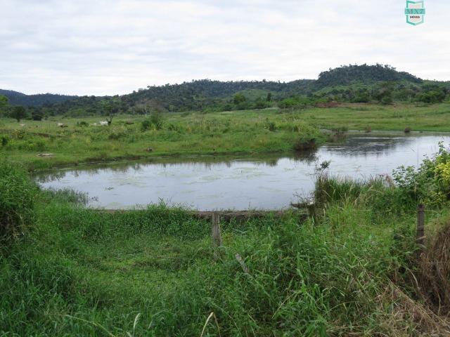 Gongogi - Fazenda pecuária de 655 Hectares toda formada - Foto 10